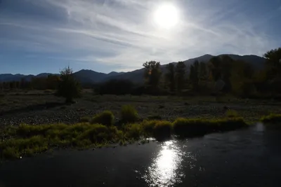 DSC_6528 (Large).JPG